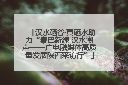 汉水硒谷·真硒水助力“秦巴新绿 汉水潮声——广电融媒体高质量发展陕西采访行”