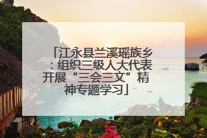 江永县兰溪瑶族乡：组织三级人大代表开展“三会三文”精神专题学习