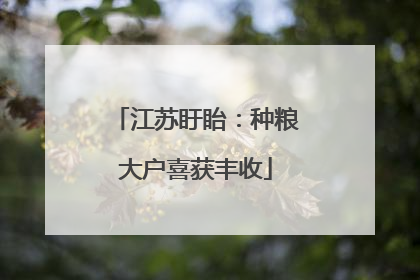 江苏盱眙：种粮大户喜获丰收