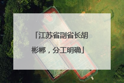 江苏省副省长胡彬郴，分工明确