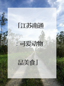 江苏南通：可爱动物品美食