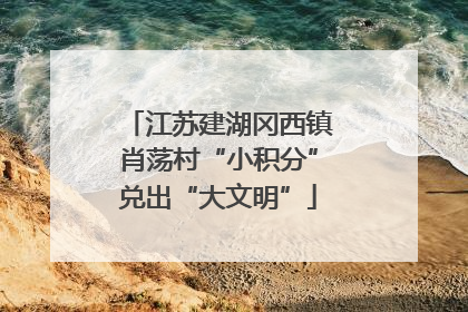 江苏建湖冈西镇肖荡村“小积分”兑出“大文明”