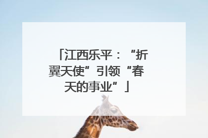 江西乐平：“折翼天使”引领“春天的事业”