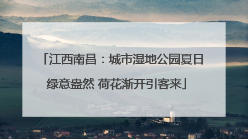 江西南昌：城市湿地公园夏日绿意盎然 荷花渐开引客来