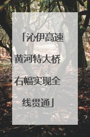沁伊高速黄河特大桥右幅实现全线贯通
