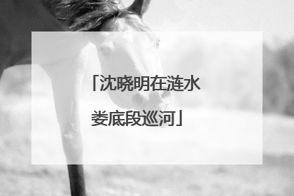 沈晓明在涟水娄底段巡河