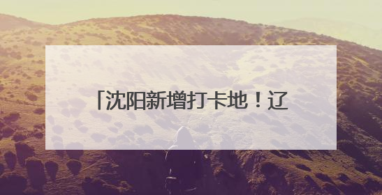 沈阳新增打卡地！辽河非遗美学馆开馆啦