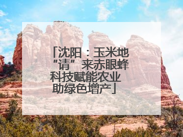 沈阳：玉米地“请”来赤眼蜂 科技赋能农业助绿色增产