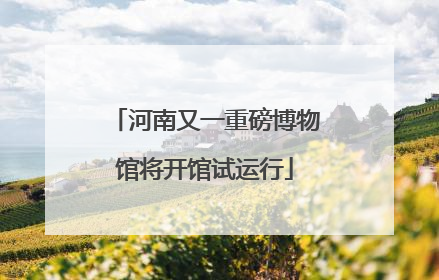河南又一重磅博物馆将开馆试运行
