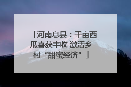 河南息县：千亩西瓜喜获丰收 激活乡村“甜蜜经济”