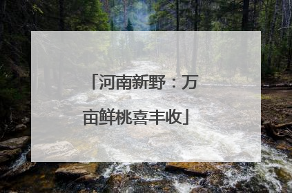 河南新野：万亩鲜桃喜丰收