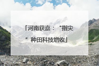 河南获嘉：“指尖”种田科技增收