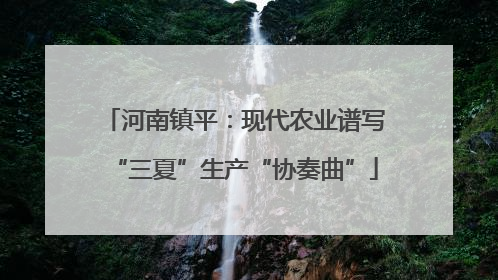 河南镇平：现代农业谱写“三夏”生产“协奏曲”