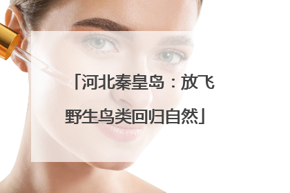 河北秦皇岛：放飞野生鸟类回归自然
