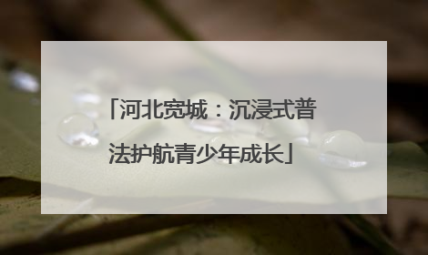 河北宽城：沉浸式普法护航青少年成长