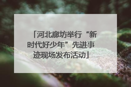 河北廊坊举行“新时代好少年”先进事迹现场发布活动