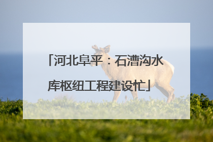 河北阜平：石漕沟水库枢纽工程建设忙