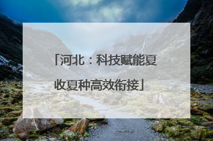 河北：科技赋能夏收夏种高效衔接