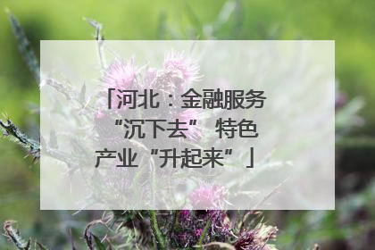 河北：金融服务“沉下去” 特色产业“升起来”