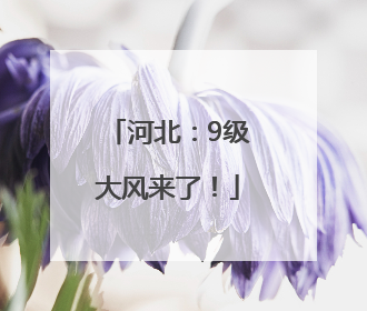河北：9级大风来了！