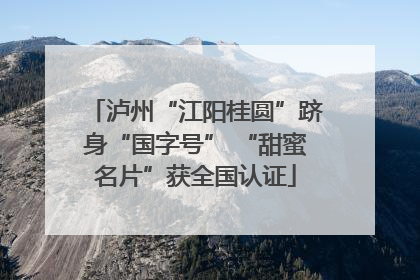 泸州“江阳桂圆”跻身“国字号” “甜蜜名片”获全国认证