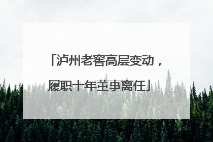 泸州老窖高层变动，履职十年董事离任