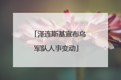 泽连斯基宣布乌军队人事变动