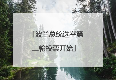 波兰总统选举第二轮投票开始