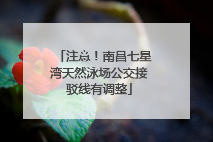 注意！南昌七星湾天然泳场公交接驳线有调整