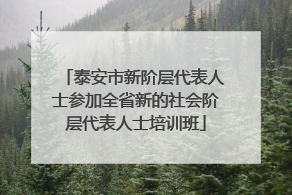 泰安市新阶层代表人士参加全省新的社会阶层代表人士培训班