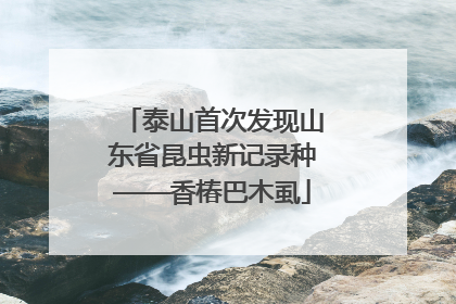 泰山首次发现山东省昆虫新记录种——香椿巴木虱