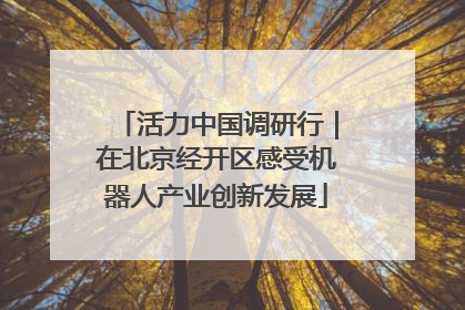 活力中国调研行｜在北京经开区感受机器人产业创新发展