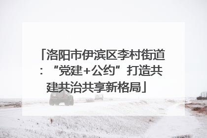 洛阳市伊滨区李村街道：“党建+公约”打造共建共治共享新格局