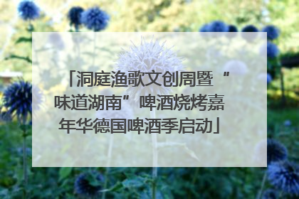 洞庭渔歌文创周暨“味道湖南”啤酒烧烤嘉年华德国啤酒季启动