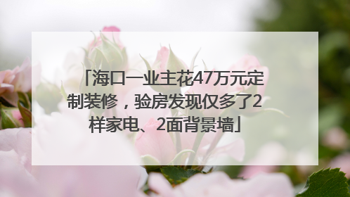 海口一业主花47万元定制装修，验房发现仅多了2样家电、2面背景墙