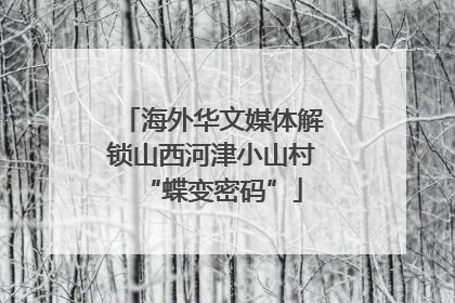 海外华文媒体解锁山西河津小山村“蝶变密码”