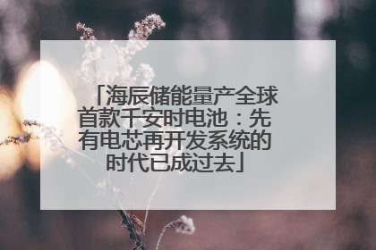 海辰储能量产全球首款千安时电池：先有电芯再开发系统的时代已成过去