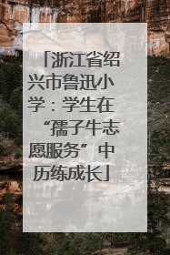 浙江省绍兴市鲁迅小学：学生在“孺子牛志愿服务”中历练成长