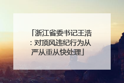 浙江省委书记王浩：对顶风违纪行为从严从重从快处理
