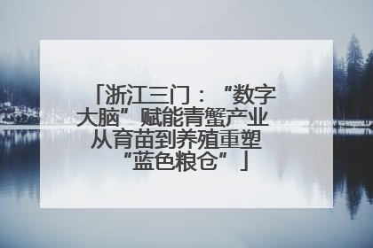 浙江三门：“数字大脑”赋能青蟹产业 从育苗到养殖重塑“蓝色粮仓”
