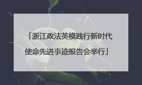 浙江政法英模践行新时代使命先进事迹报告会举行