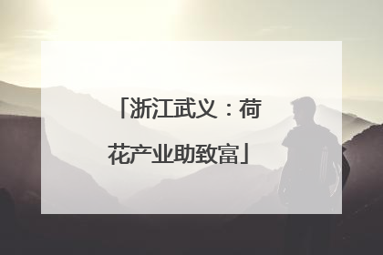 浙江武义：荷花产业助致富