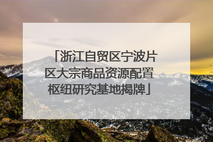 浙江自贸区宁波片区大宗商品资源配置枢纽研究基地揭牌