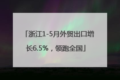 浙江1-5月外贸出口增长6.5%，领跑全国
