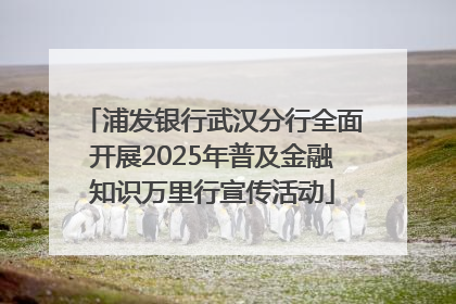 浦发银行武汉分行全面开展2025年普及金融知识万里行宣传活动