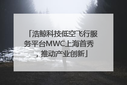 浩鲸科技低空飞行服务平台MWC上海首秀，推动产业创新