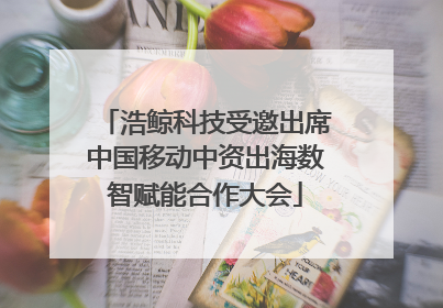 浩鲸科技受邀出席中国移动中资出海数智赋能合作大会