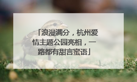 浪漫满分，杭州爱情主题公园亮相，一路都有甜言蜜语
