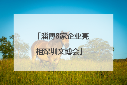 淄博8家企业亮相深圳文博会
