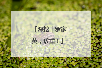 深挖｜罗家英，珍重！